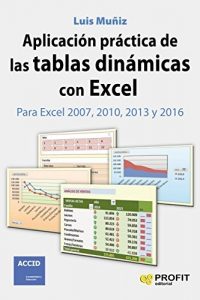 el libro Aplicacion Practica De Las Tablas Dinamicas Con Excel Muñiz Luis